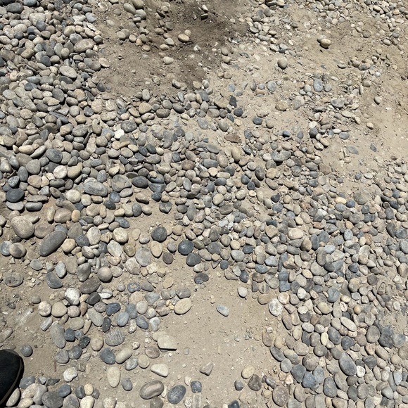 Meet your Posher, Lauren - Picture 1 of 1